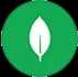 mangoDB